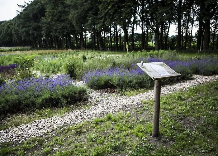 50|50 Belmont 3* Ede